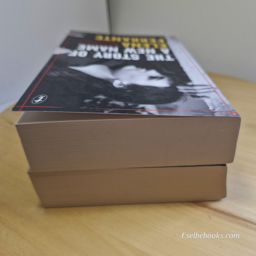 The Neapolitan Novels books 2 and 3 by Elena Ferrante - paperbacks