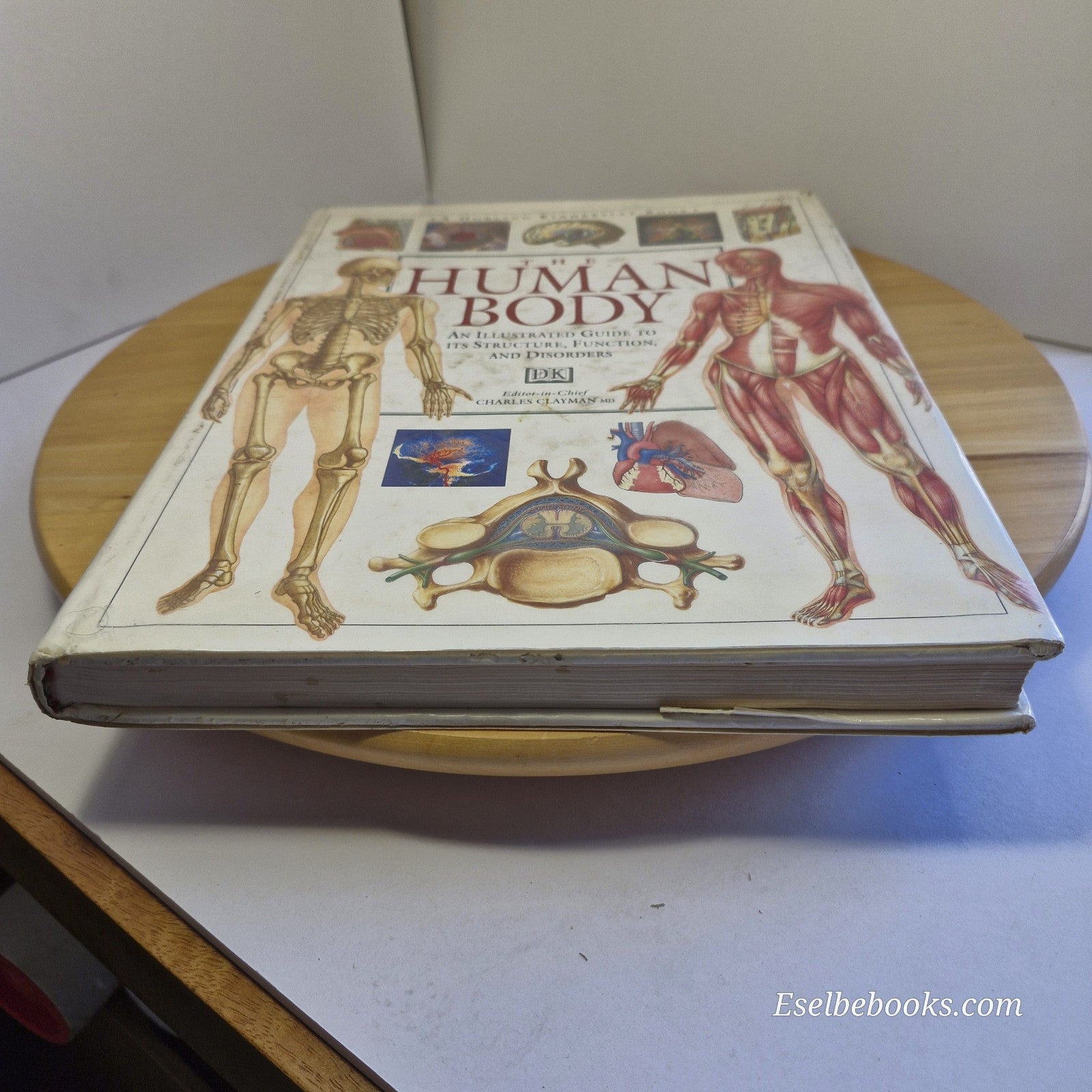 Illustrated Guide to the Human Body by DK Publishing Staff - large hardback