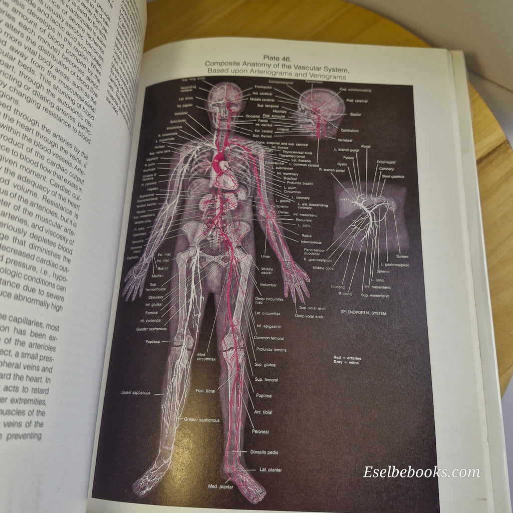 The Johns Hopkins Atlas of Human Functional Anatomy by Leon Schlossberg 4th ed