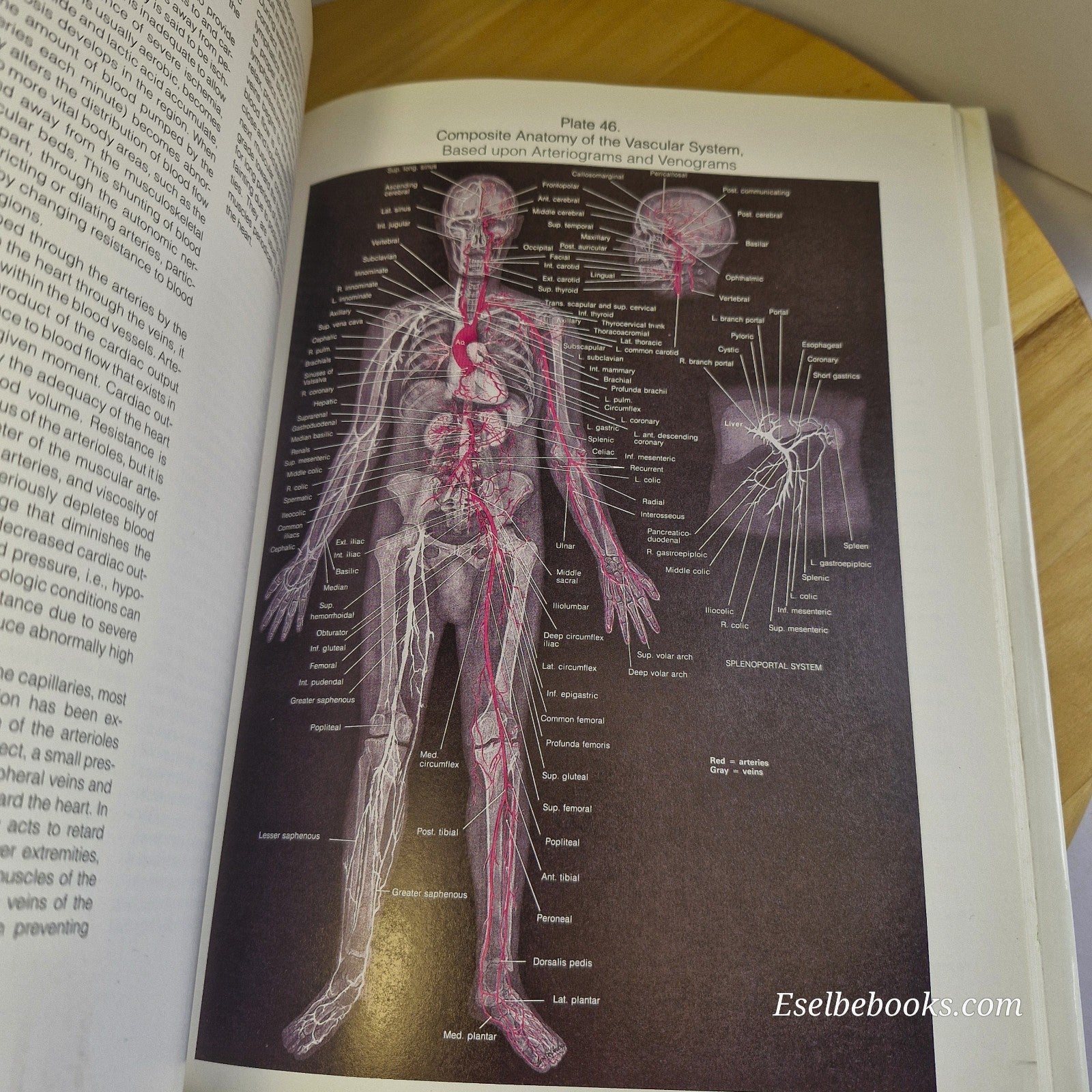 The Johns Hopkins Atlas of Human Functional Anatomy by Leon Schlossberg 4th ed