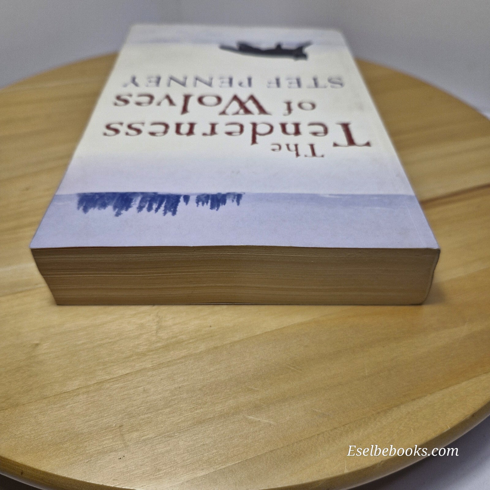 Fiction: The tenderness of wolves by Stef Penney- large paperback