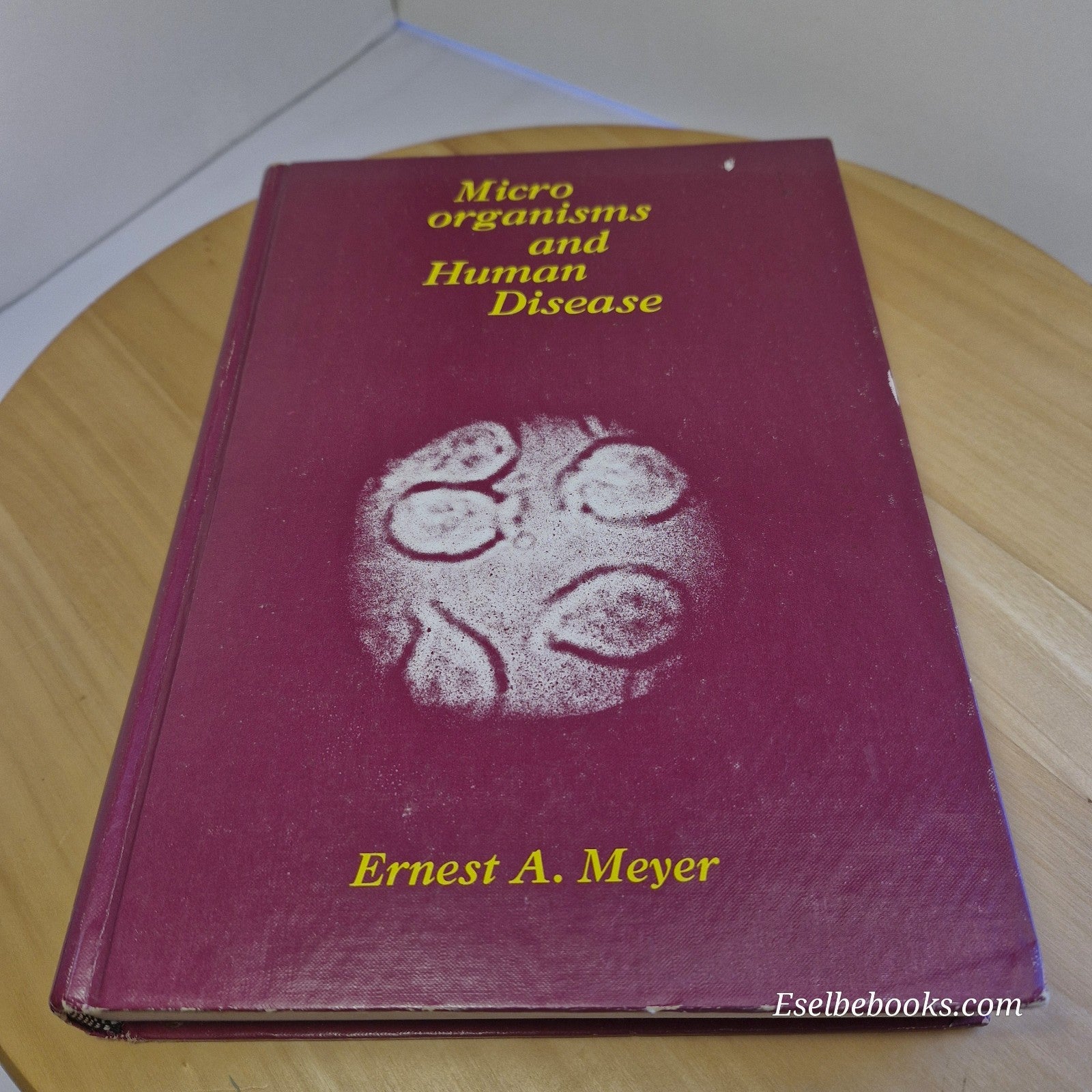 Microorganisms and Human Disease By Ernest Alan Meyer · 1971 - hardback