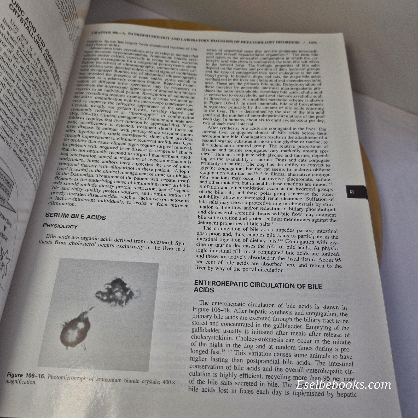 Textbook of Veterinary Internal Medicine Volume 1 & 2 Fourth edition by Ettin...