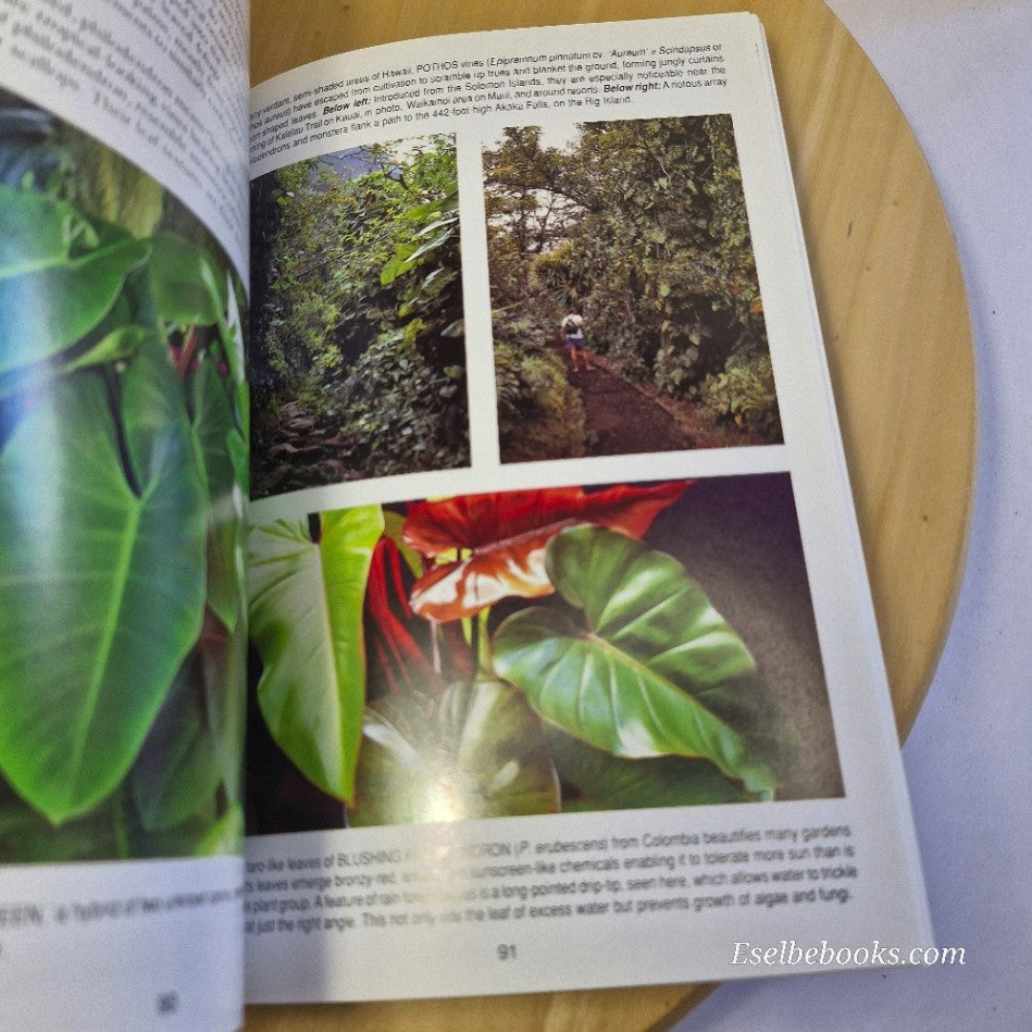 Exotic Tropicals of Hawaii: Heliconias anthurums & decorative foliage - A Kepler