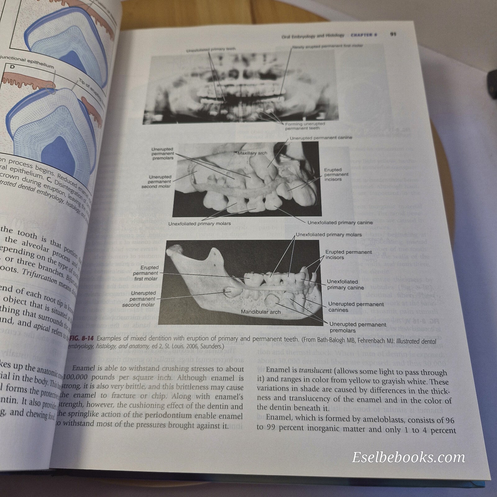Modern Dental Assisting 9th edition By Doni L. Bird, Debbie S. Robinson · 200...