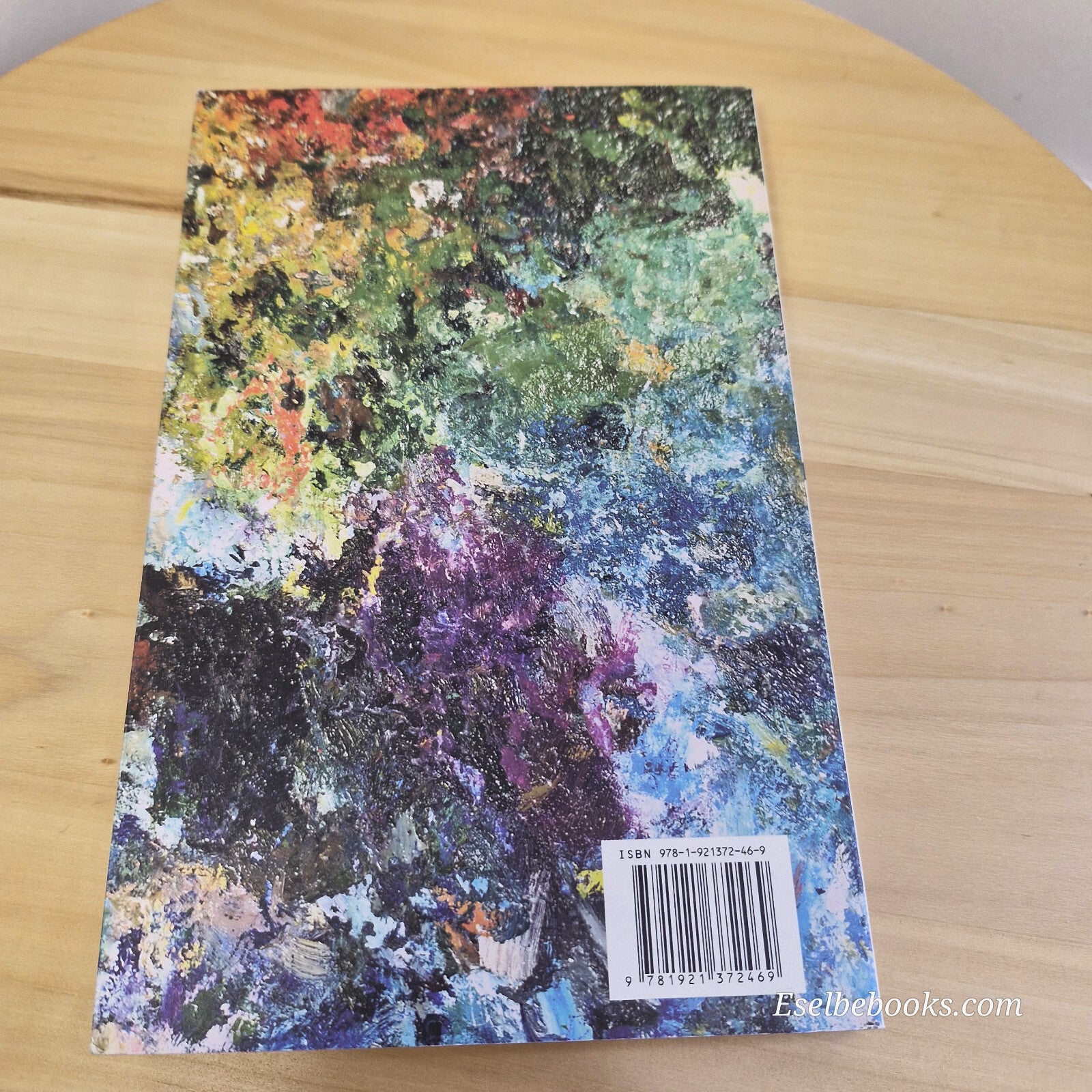 The Portrait - A Novel By Willem Jan Otten · 2009 - paperback