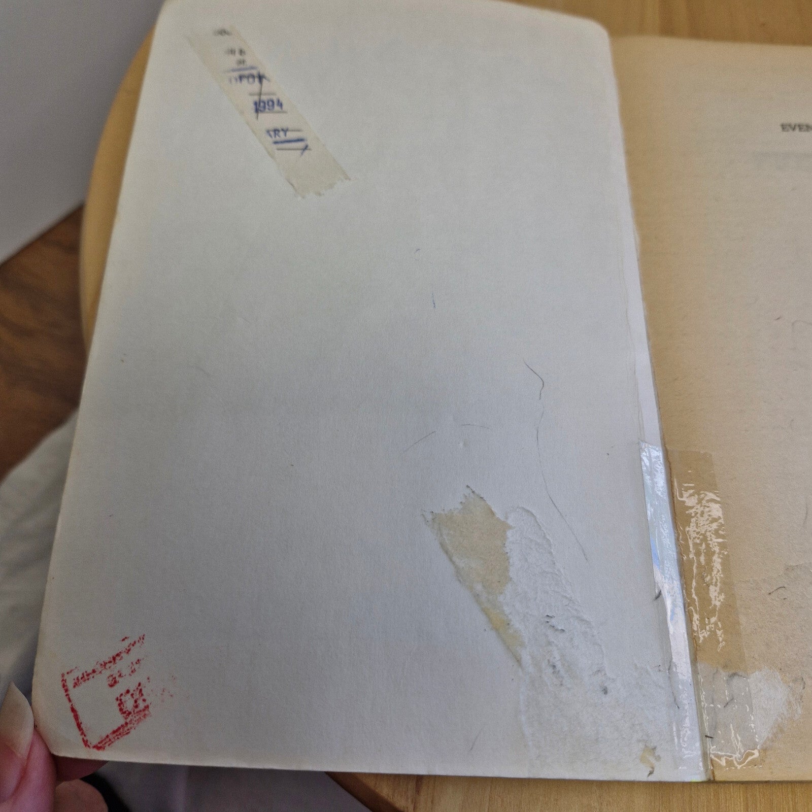 Health: Evening Primrose Oil By Judy Graham · 1993 - vintage paperback