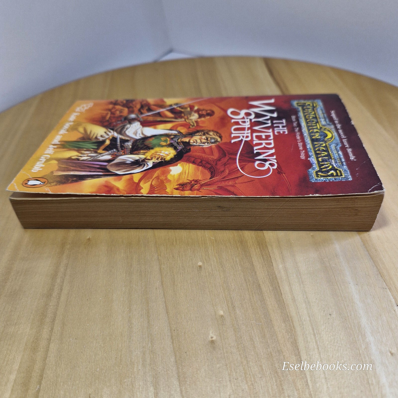 The Wyvern's Spur Finder's Stone Trilogy By Kate Novak - vintage paperback