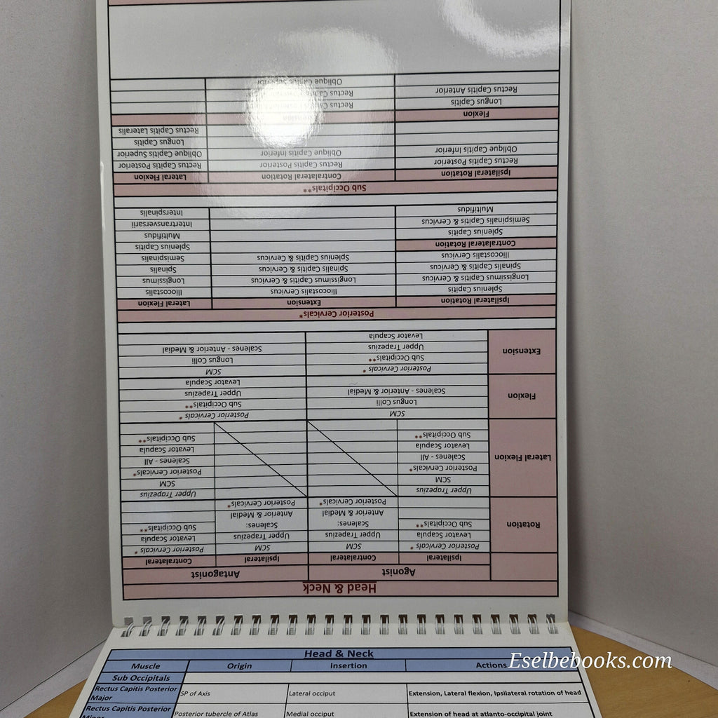 Muscle anatomy - attachments antagonists agonists & actions table top flip chart