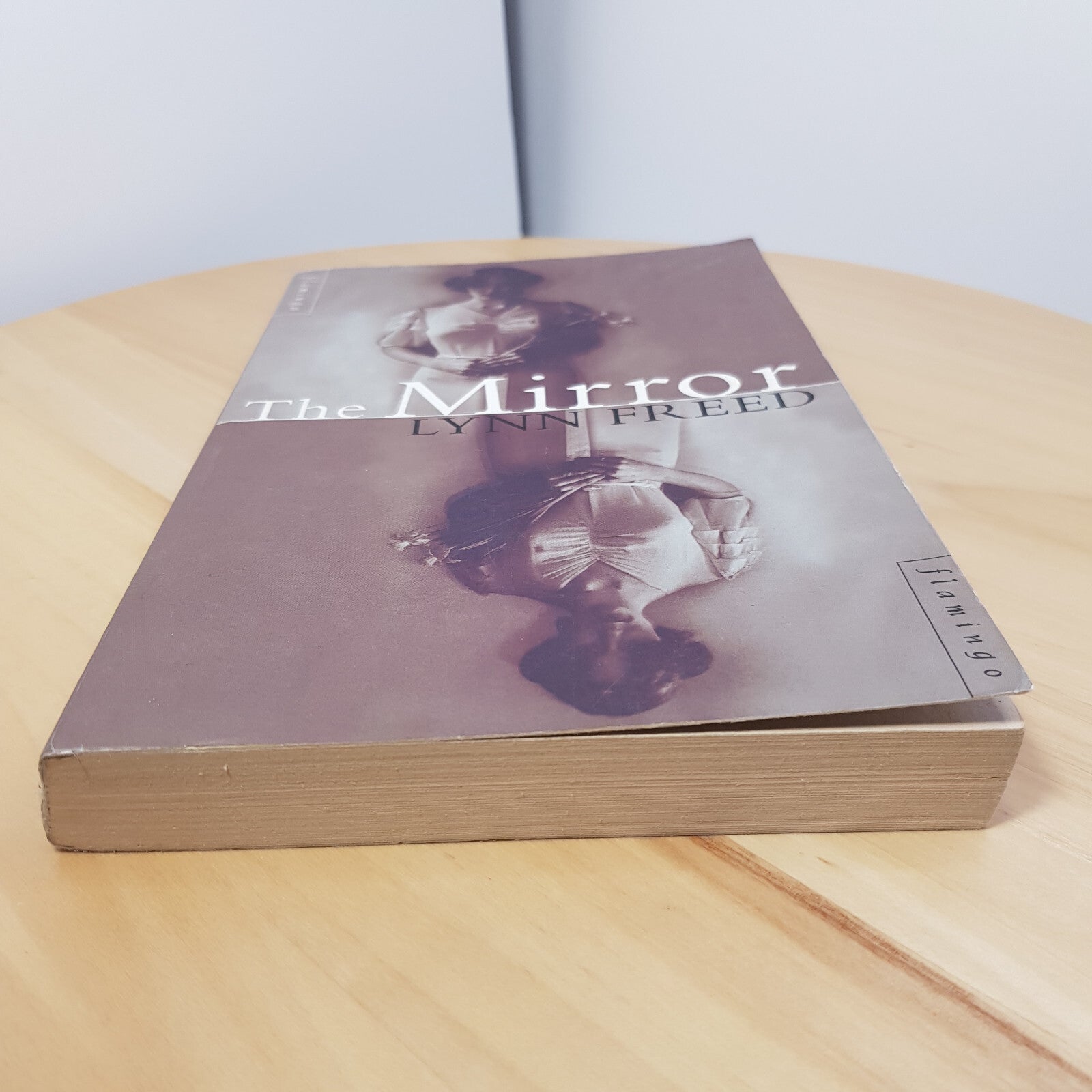 The Mirror By Lynn Freed - large paperback