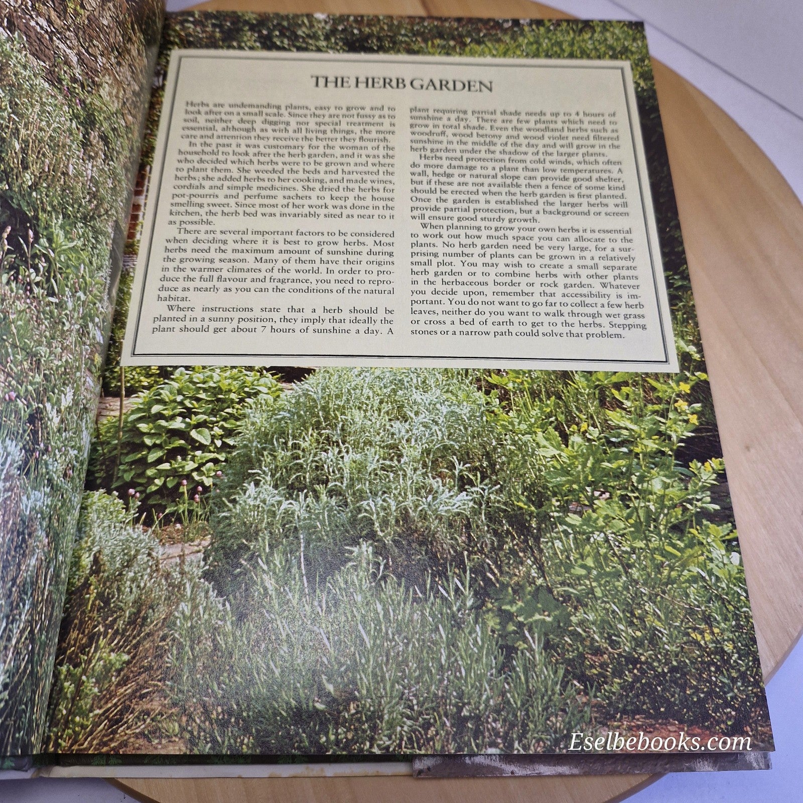 The Herb Book by Arabella Boxer & Philippa Back 1989 Herbal Guide hardback/dj