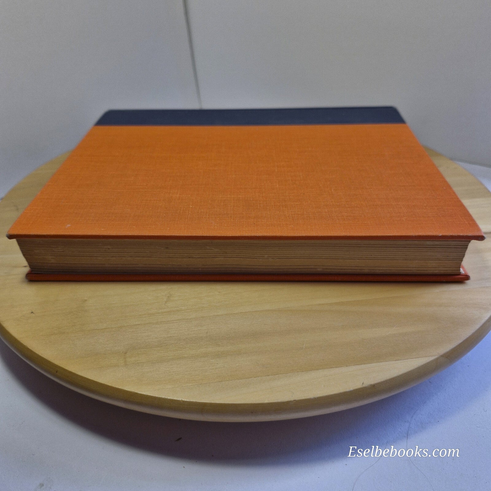 Musculoskeletal Disorders Regional Examination and Differential Diagnosis By ...