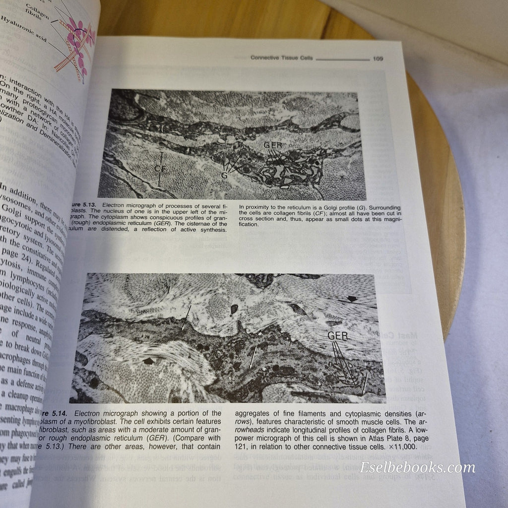 Histology: A Text and Atlas by Kaye, Pawlina and Ross 3rd edition paperback
