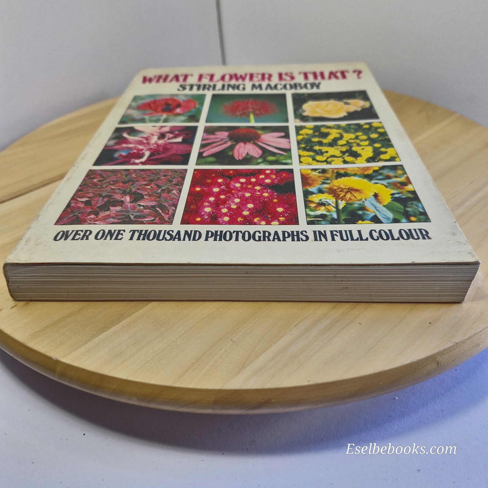 Australian flora: What Flower is That? By Stirling Macoboy · 1980
