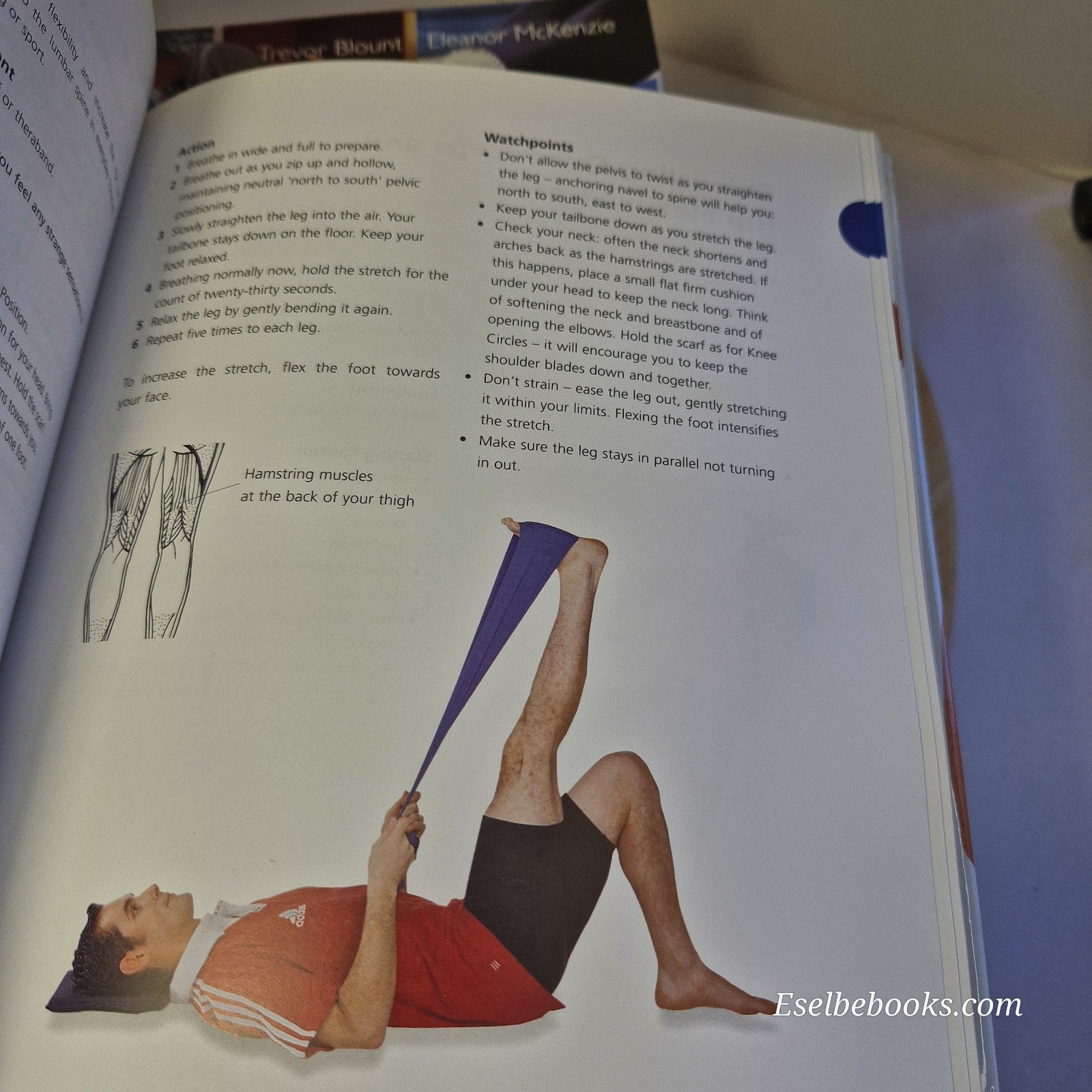 The official Body Control Pilates Manual Guide Lynne Robinson - hardback
