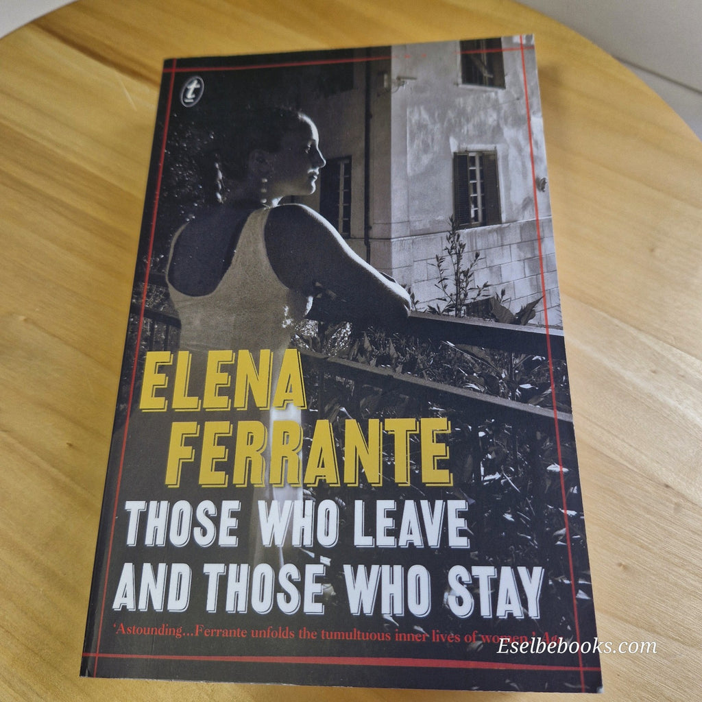 The Neapolitan Novels books 2 and 3 by Elena Ferrante - paperbacks