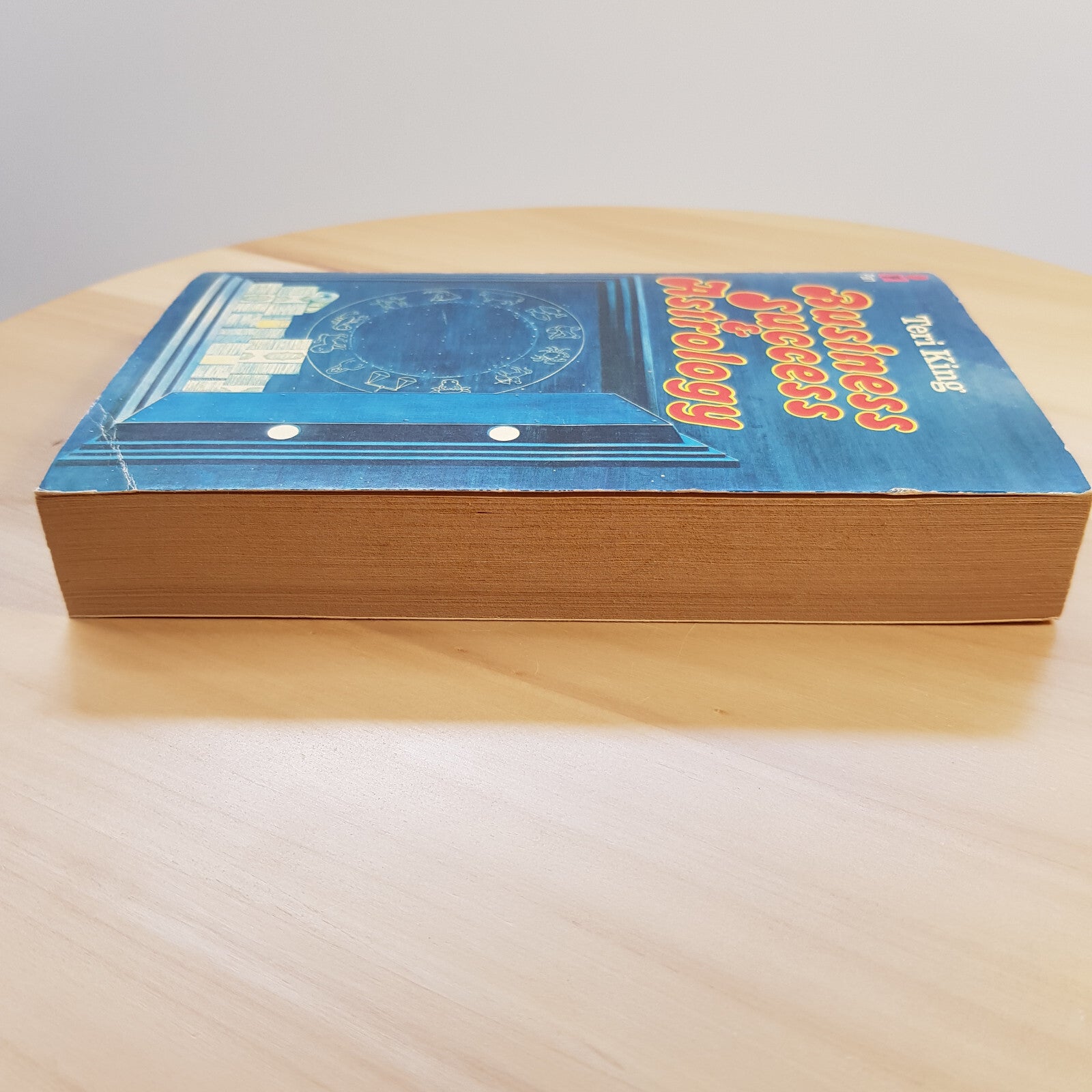 Business success & astrology by Teri King - vintage paperback 1974