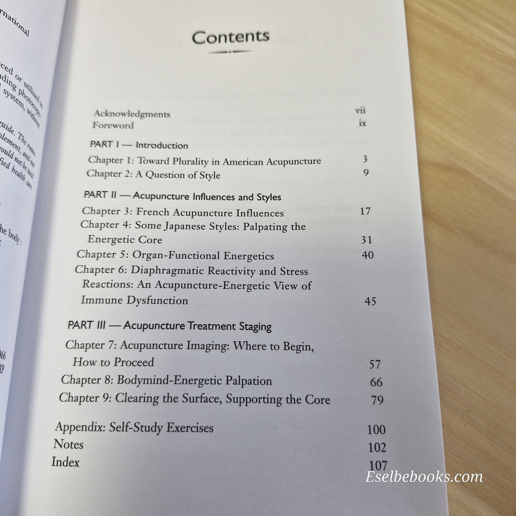 Acupuncture Imaging: Perceiving the Energy Pathways of the Body by Mark Seem