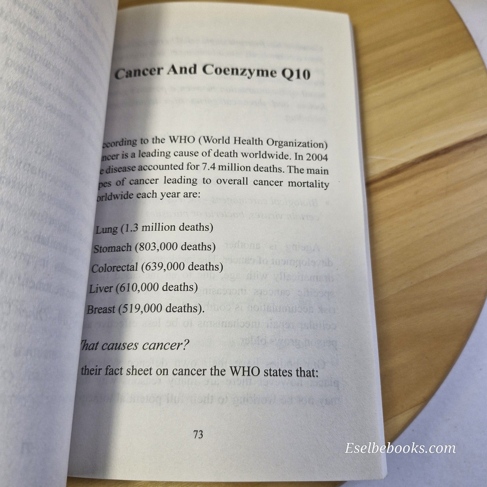 Coenzyme Q10 The Wonder Nutrient by Peta Land Paperback