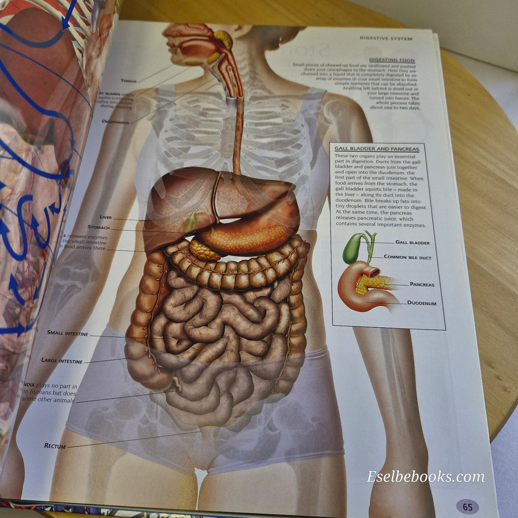 Body: An amazing tour of human anatomy by Robert Winston -includes CD (untested)