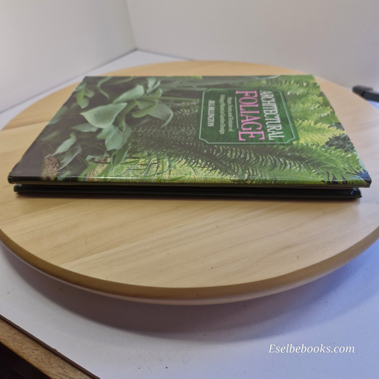 Architectural Foliage Shape, Form and Texture of Foliage Plants in Garden Des...