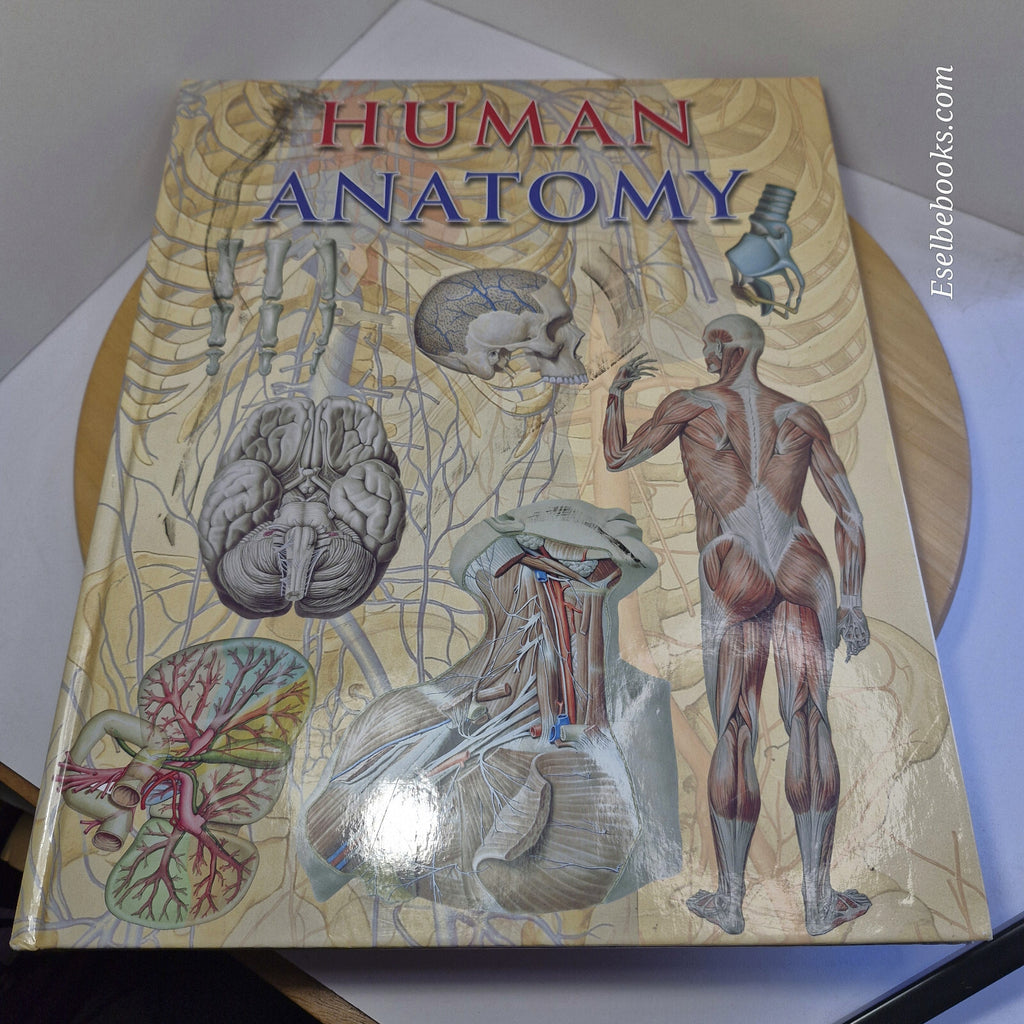 Human Anatomy By Giovanni Iazzetti · 2006 - large hardback