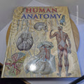 Human Anatomy By Giovanni Iazzetti · 2006 - large hardback