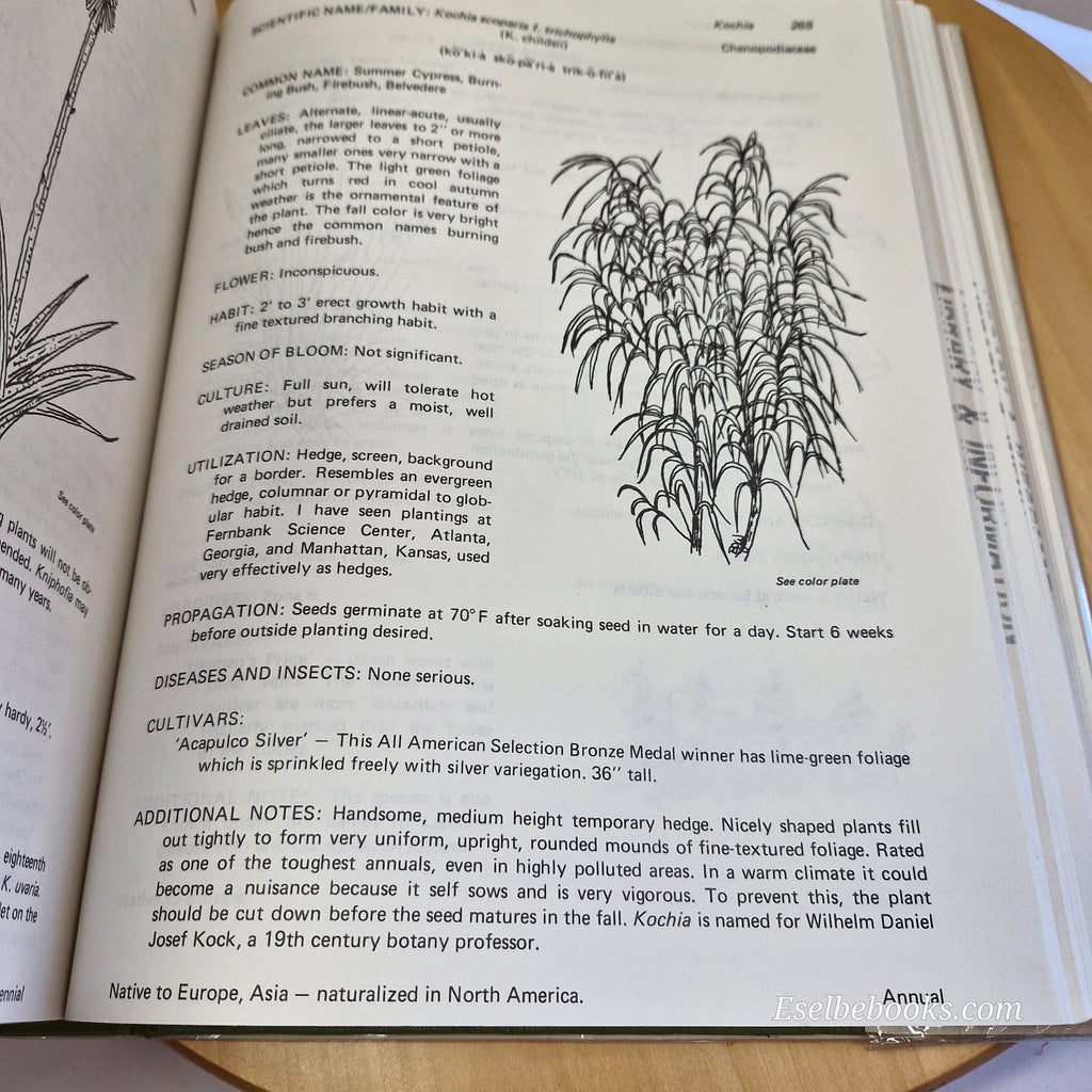 Manual of Herbaceous Ornamental Plants By Steven M. Still - large hardback
