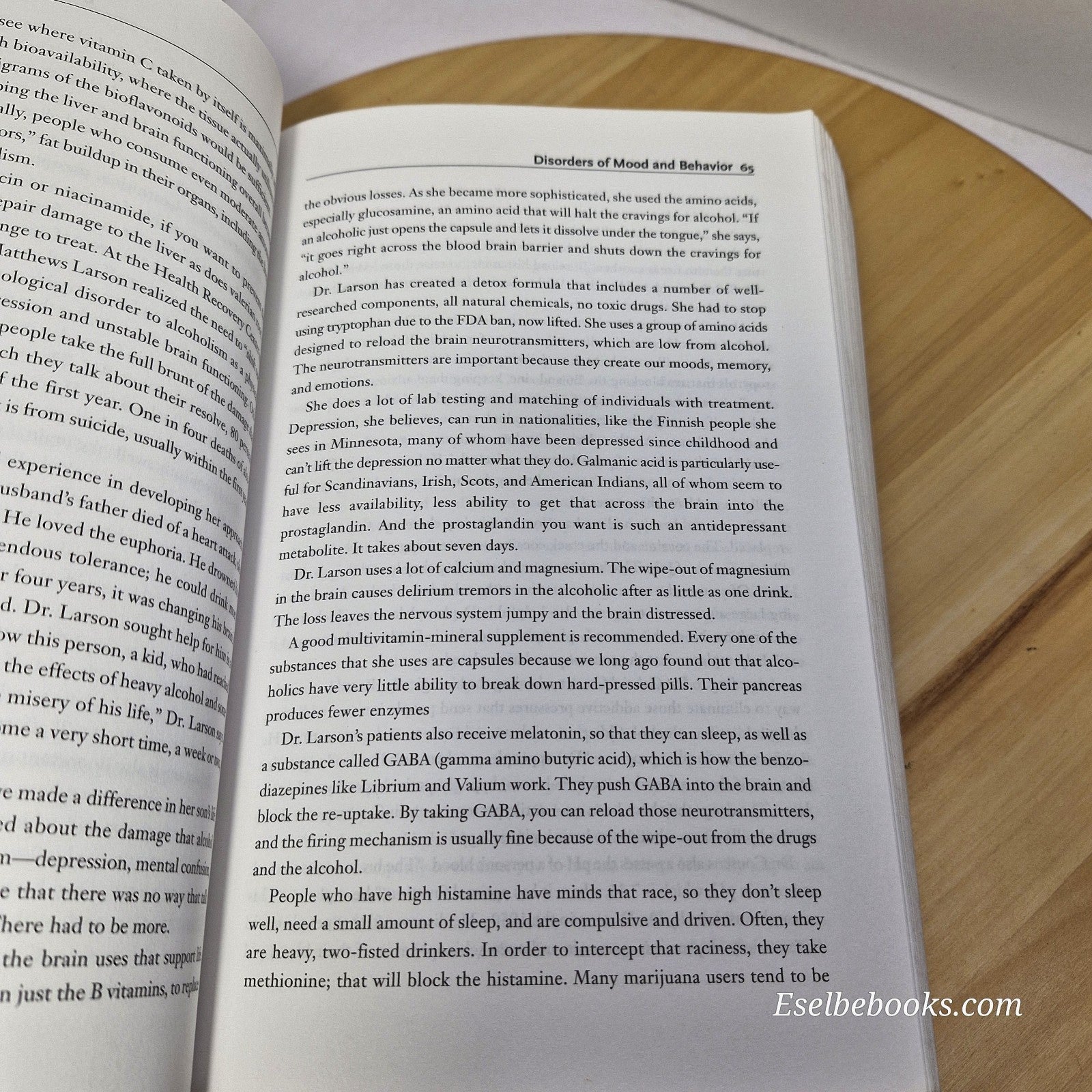 The Food-mood connection by Gary Null PhD - paperback