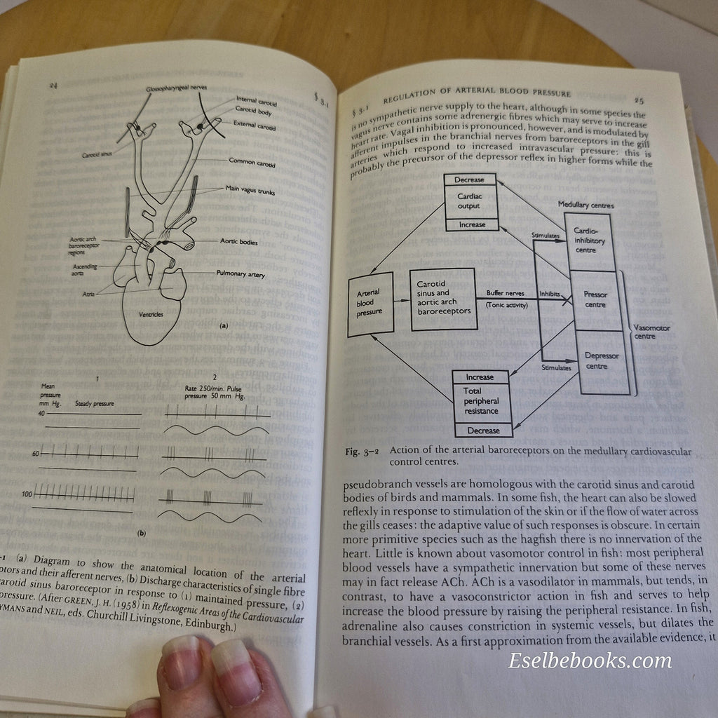 Science: Studies in Biology no. 63 Homeostasis 2nd edition by Richard N Hardy...