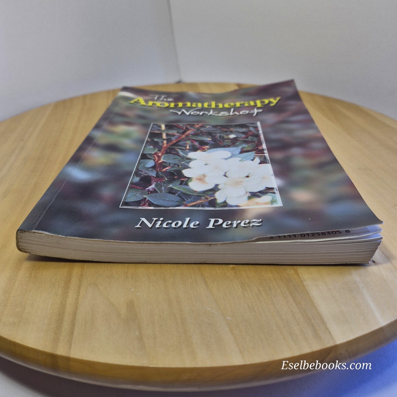 Health:  The Aromatherapy Workshop Book by Nicole Perez - paperback