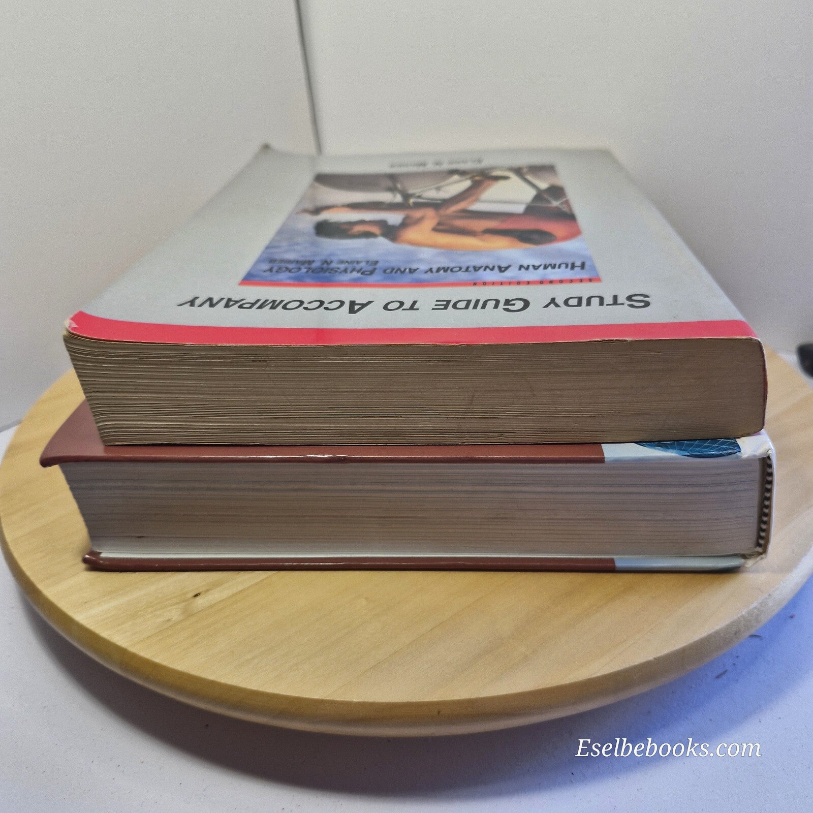 Human Anatomy & Physiology 8th ed. and study guide 2nd ed. By E Marieb, K Hoehn