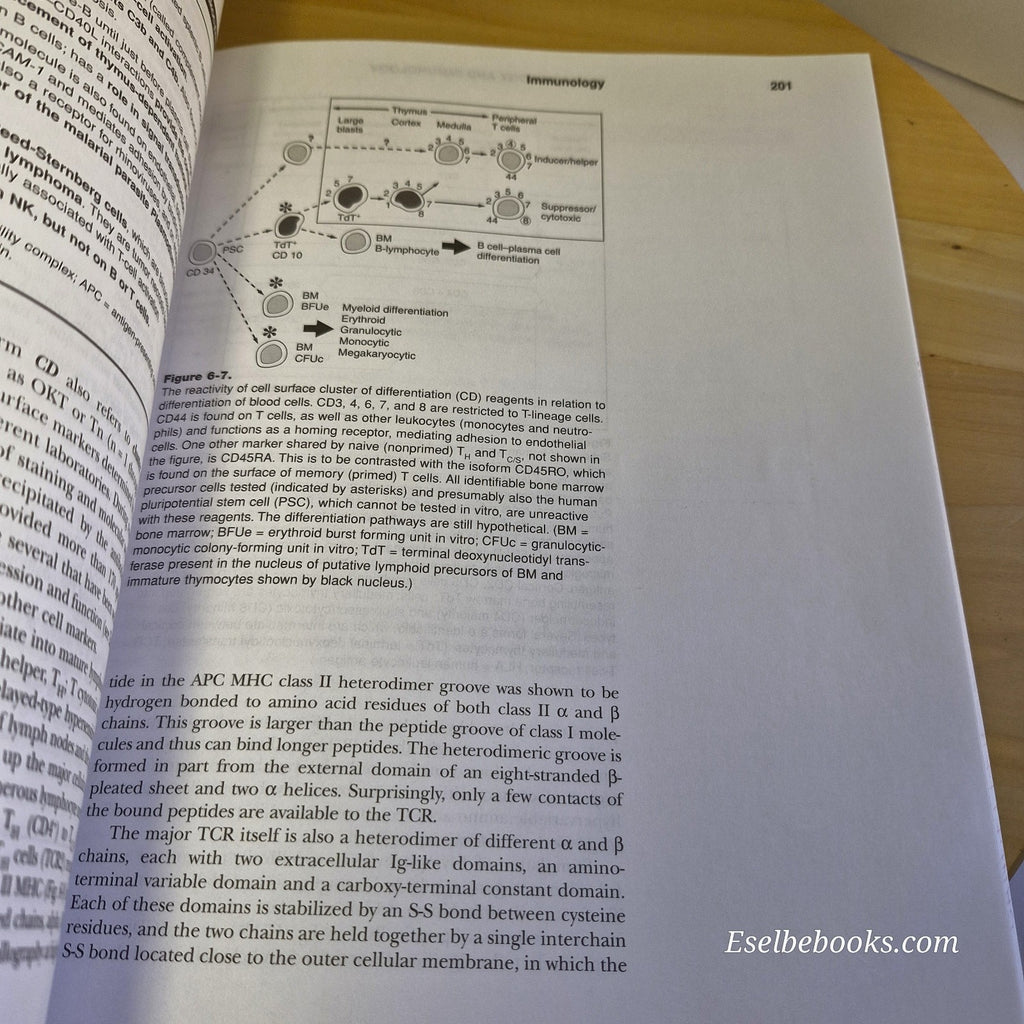 Microbiology and Immunology By Ronald B. Luftig · 1998 - paperback