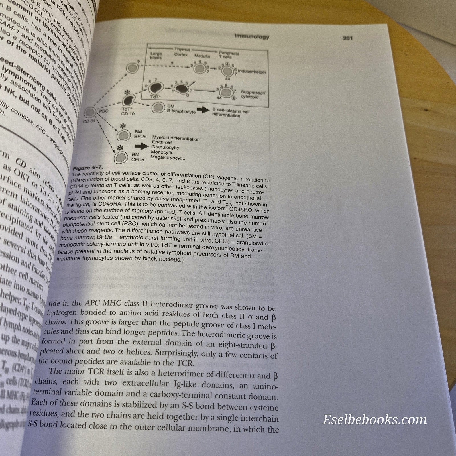 Microbiology and Immunology By Ronald B. Luftig · 1998 - paperback