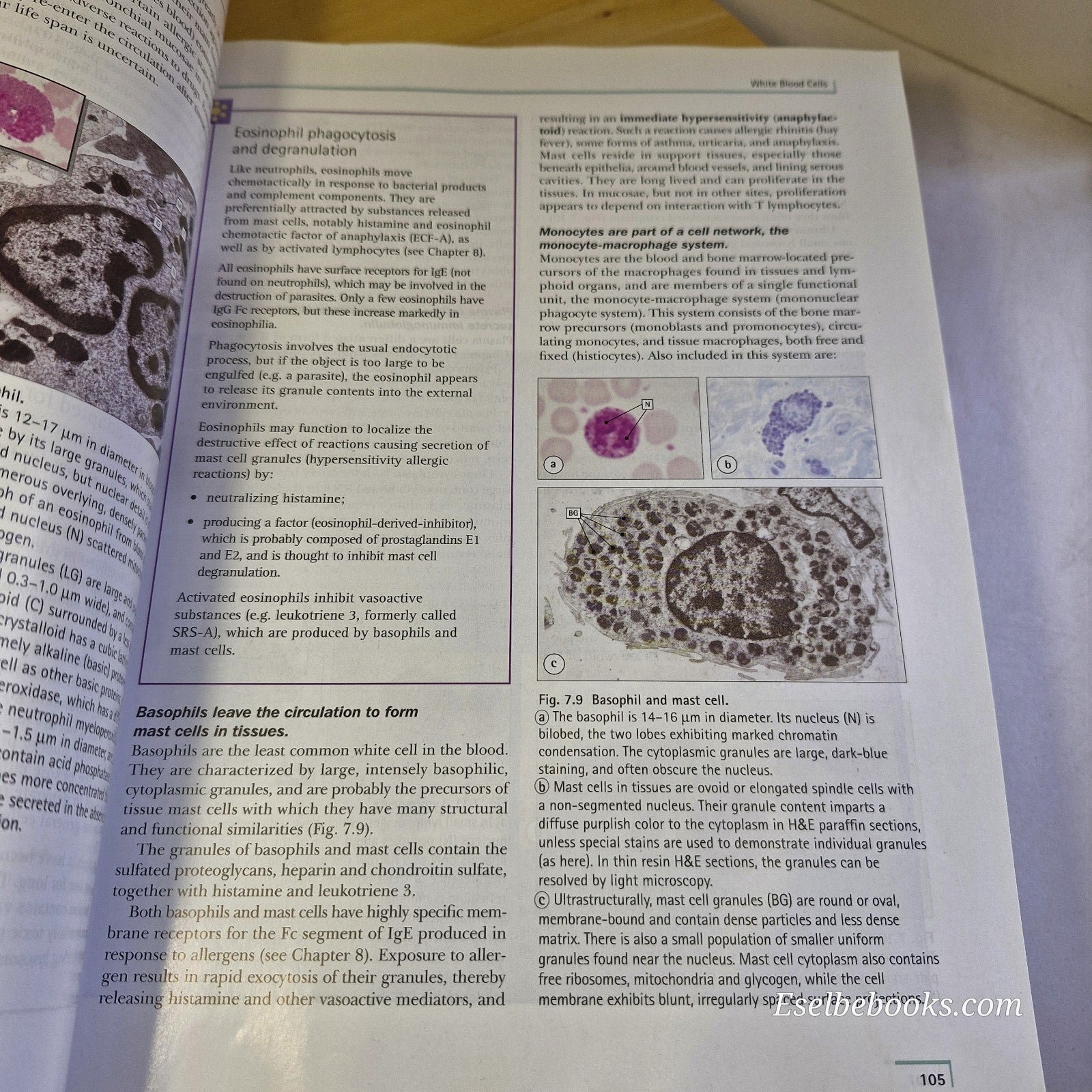 Human Histology 2nd edition by Alan Stevens & James Lowe