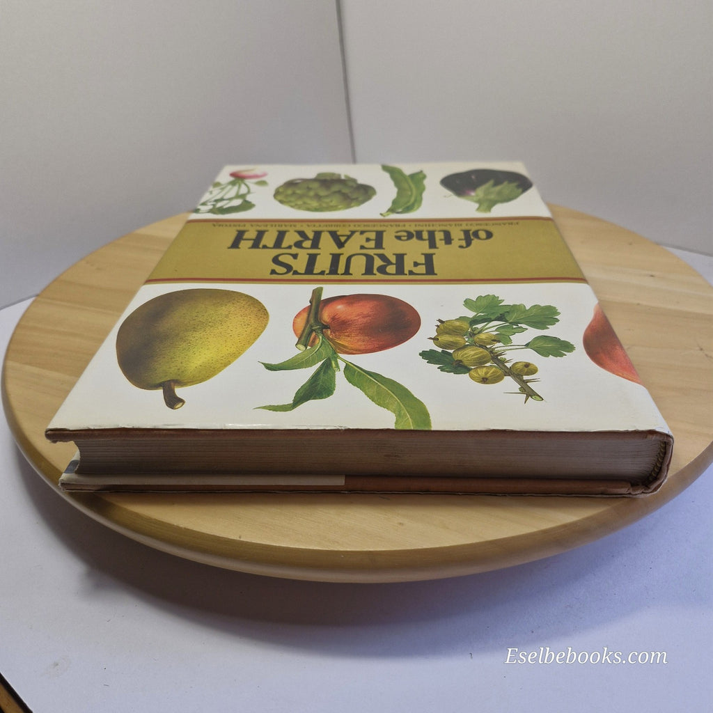 Fruits of the Earth by Bianchini Corbetta & Pistoia - hardback