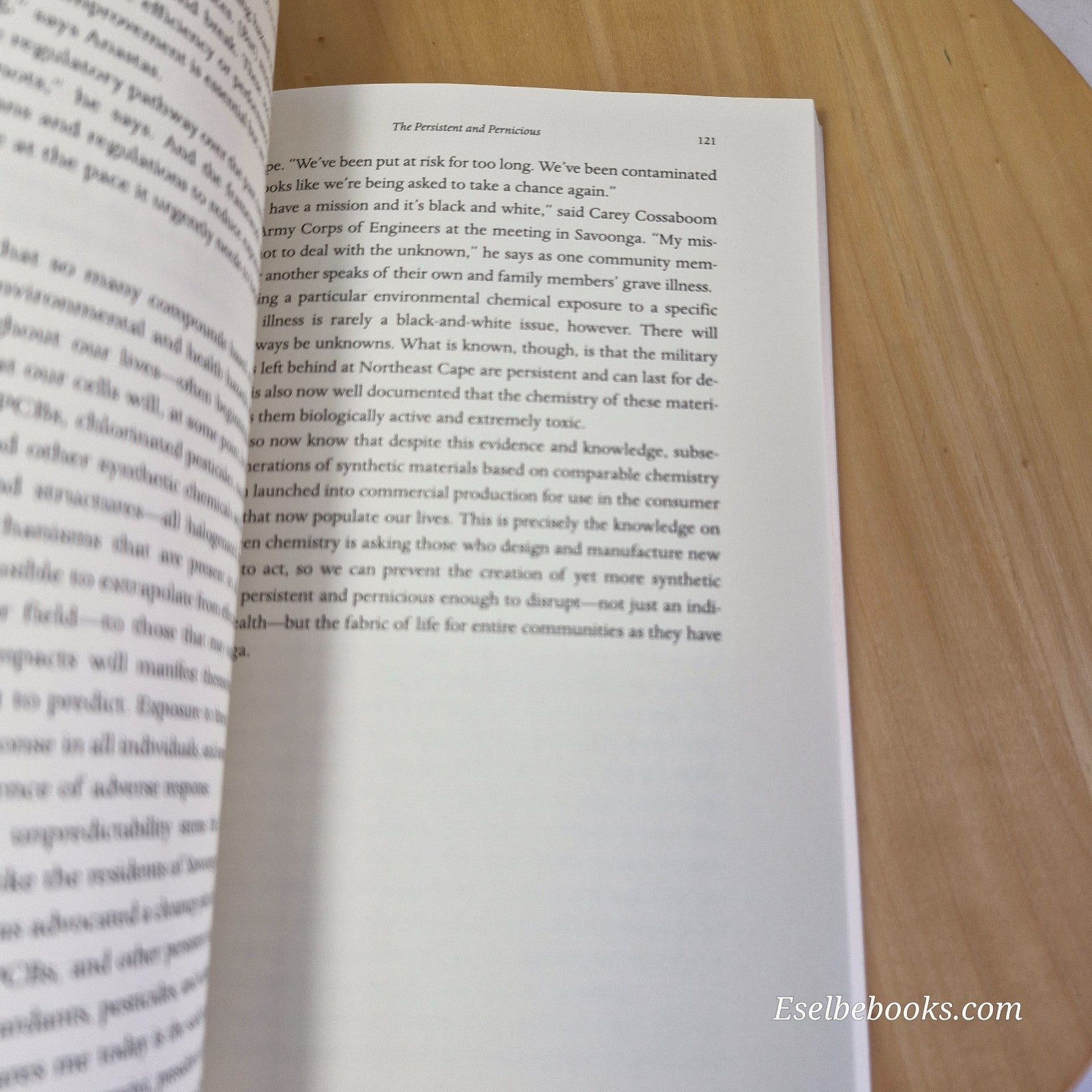 Chasing Molecules by Elizabeth Grossman - paperback