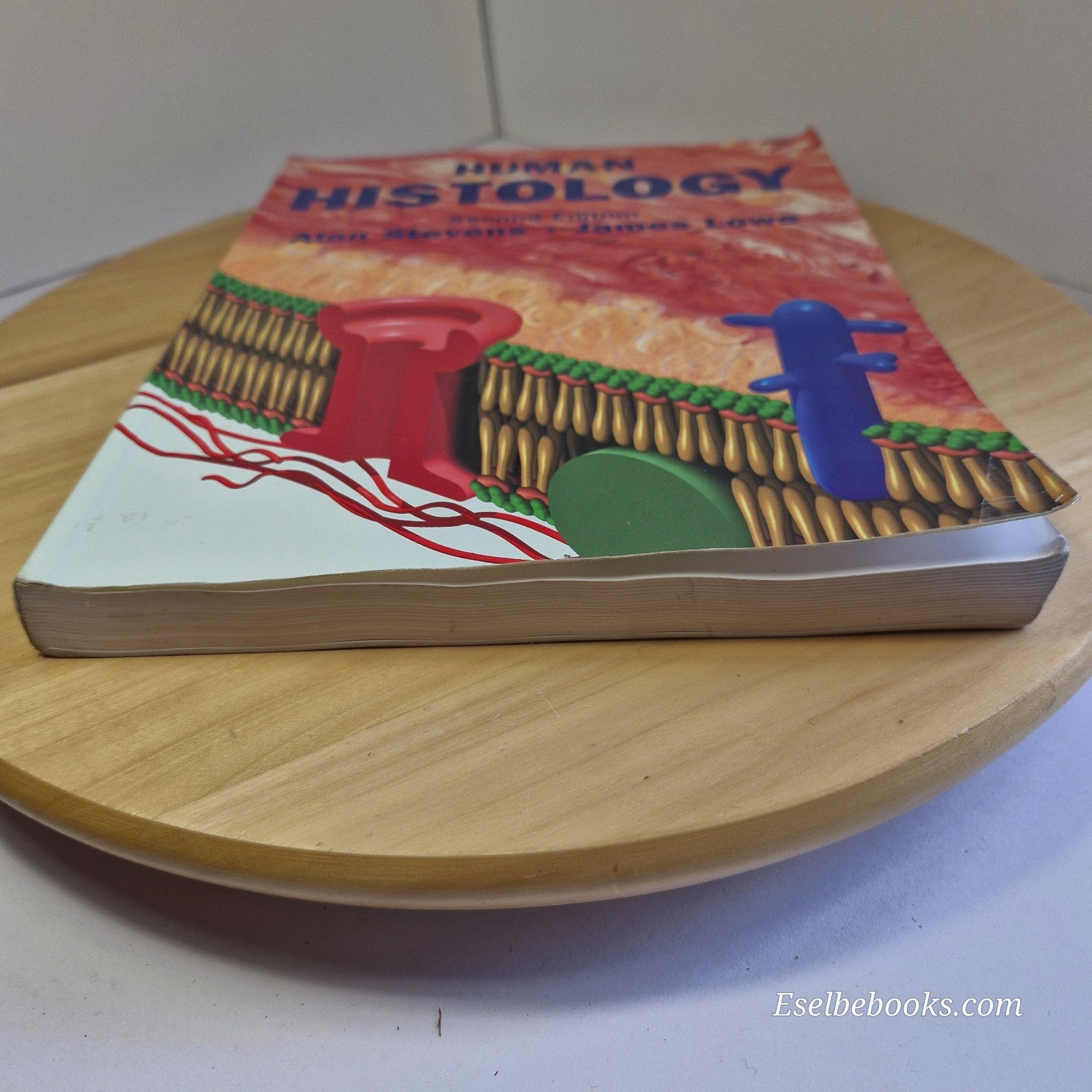 Human Histology 2nd edition by Alan Stevens & James Lowe