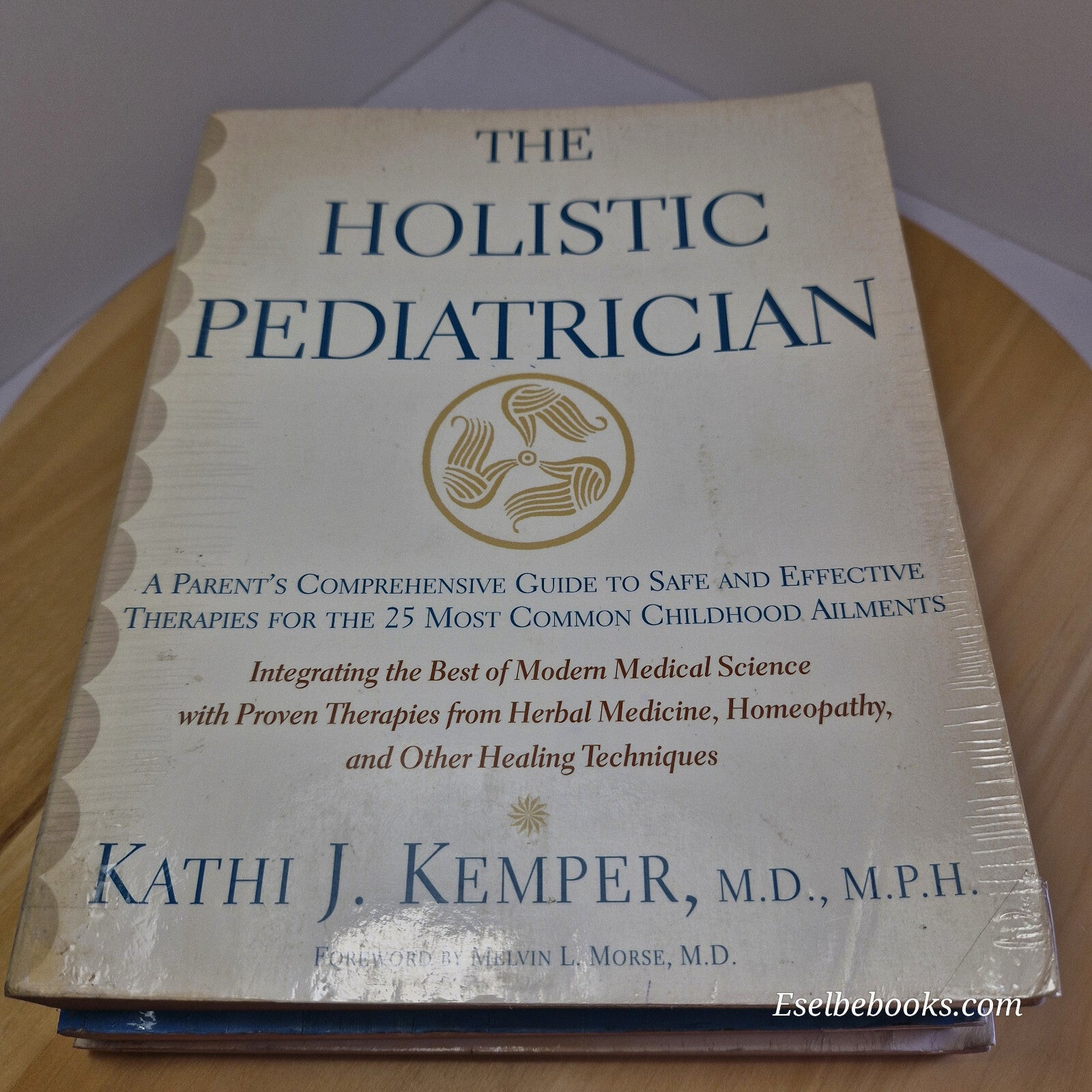 Children's health: 3 x books including The Holistic Pediatrician by Kathi J K...