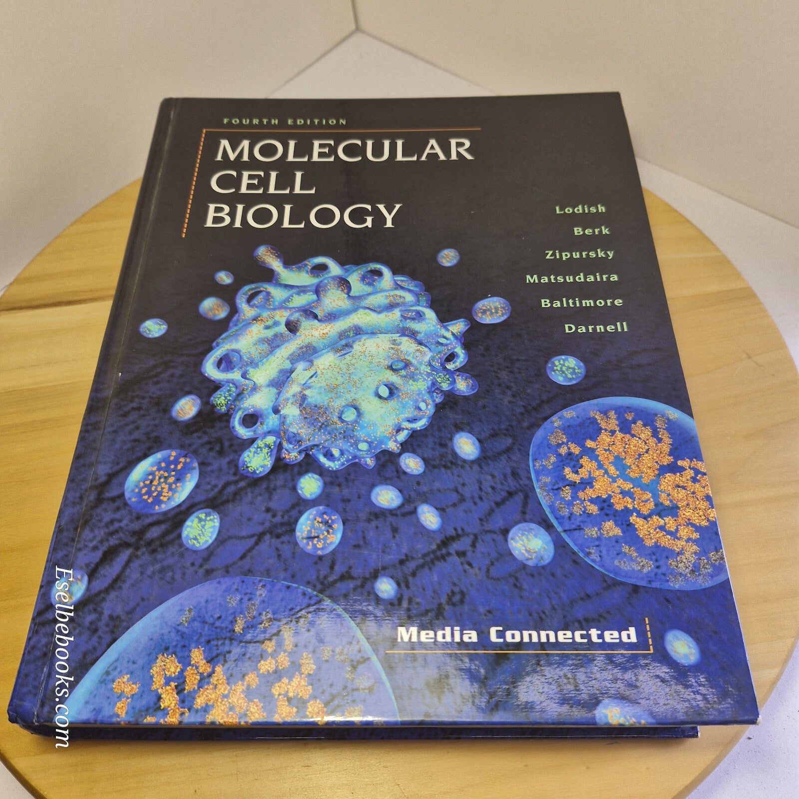Molecular Cell Biology By Harvey F. Lodish · 4th edition - hardback
