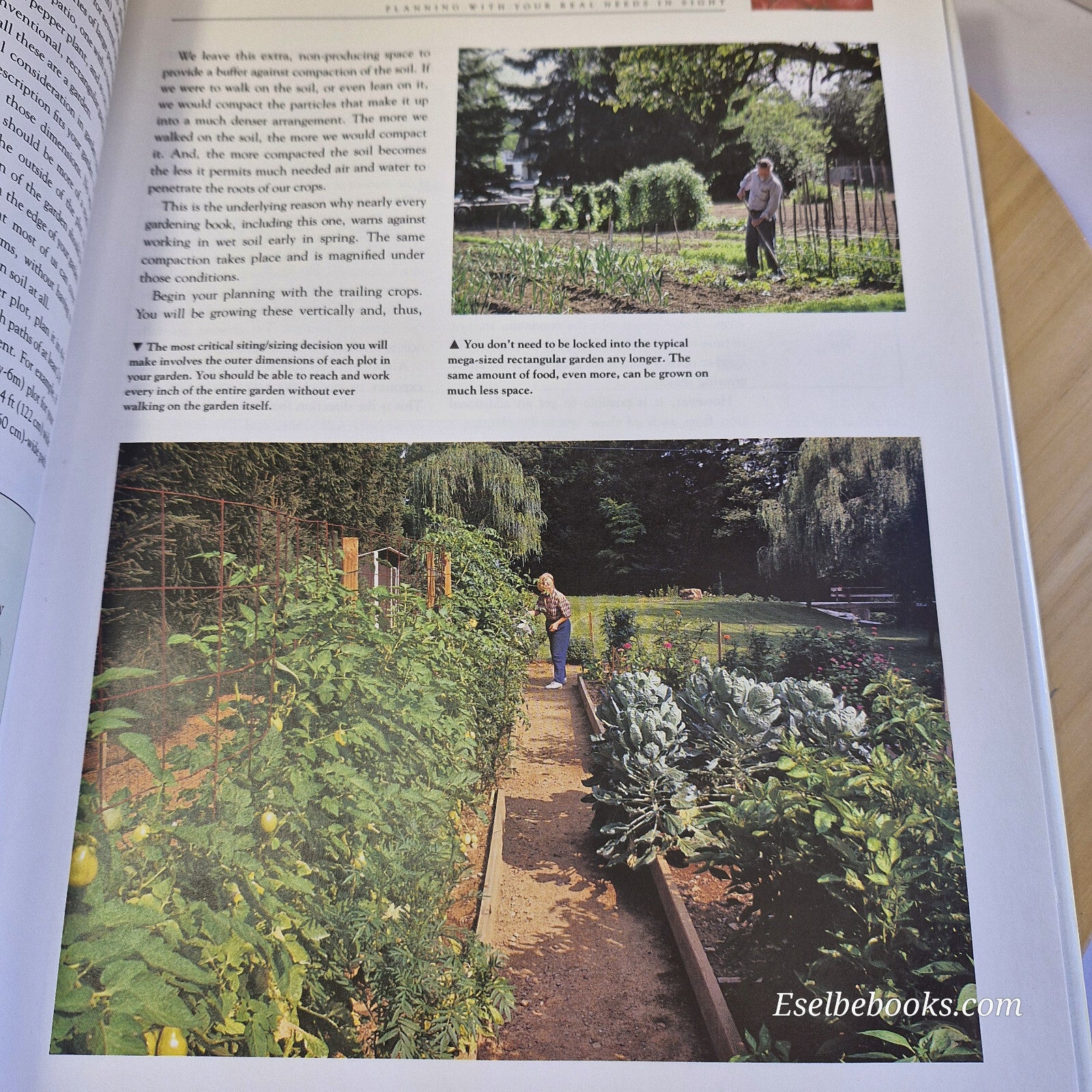 Gardening in Small Spaces By Marcus Schneck · 1992 - large hardback with dust...