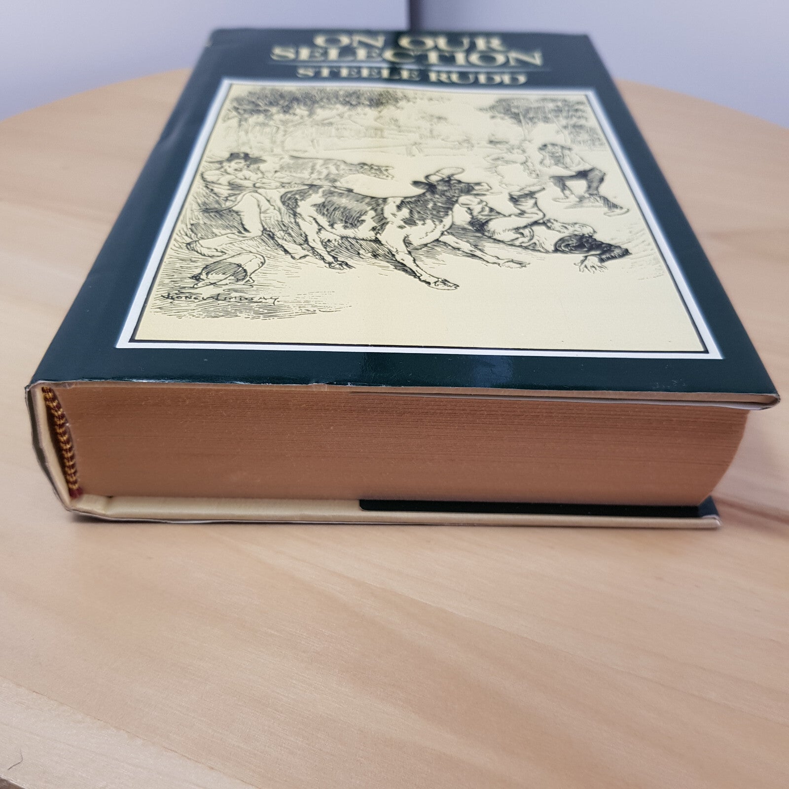 On Our Selection by Steele Rudd - vintage hardback with dustjacket