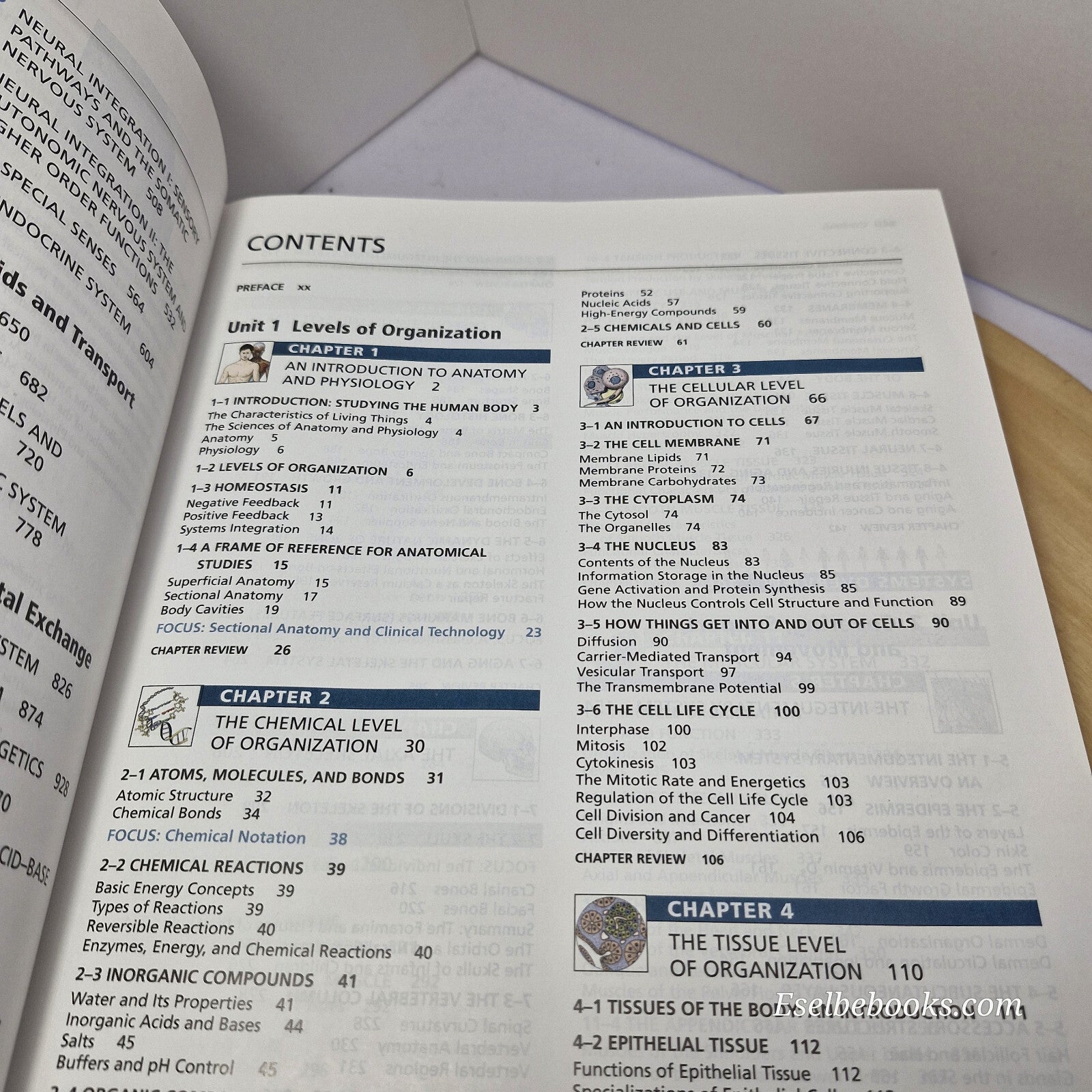 Fundamentals of anatomy & physiology By Frederic Martini - hardback