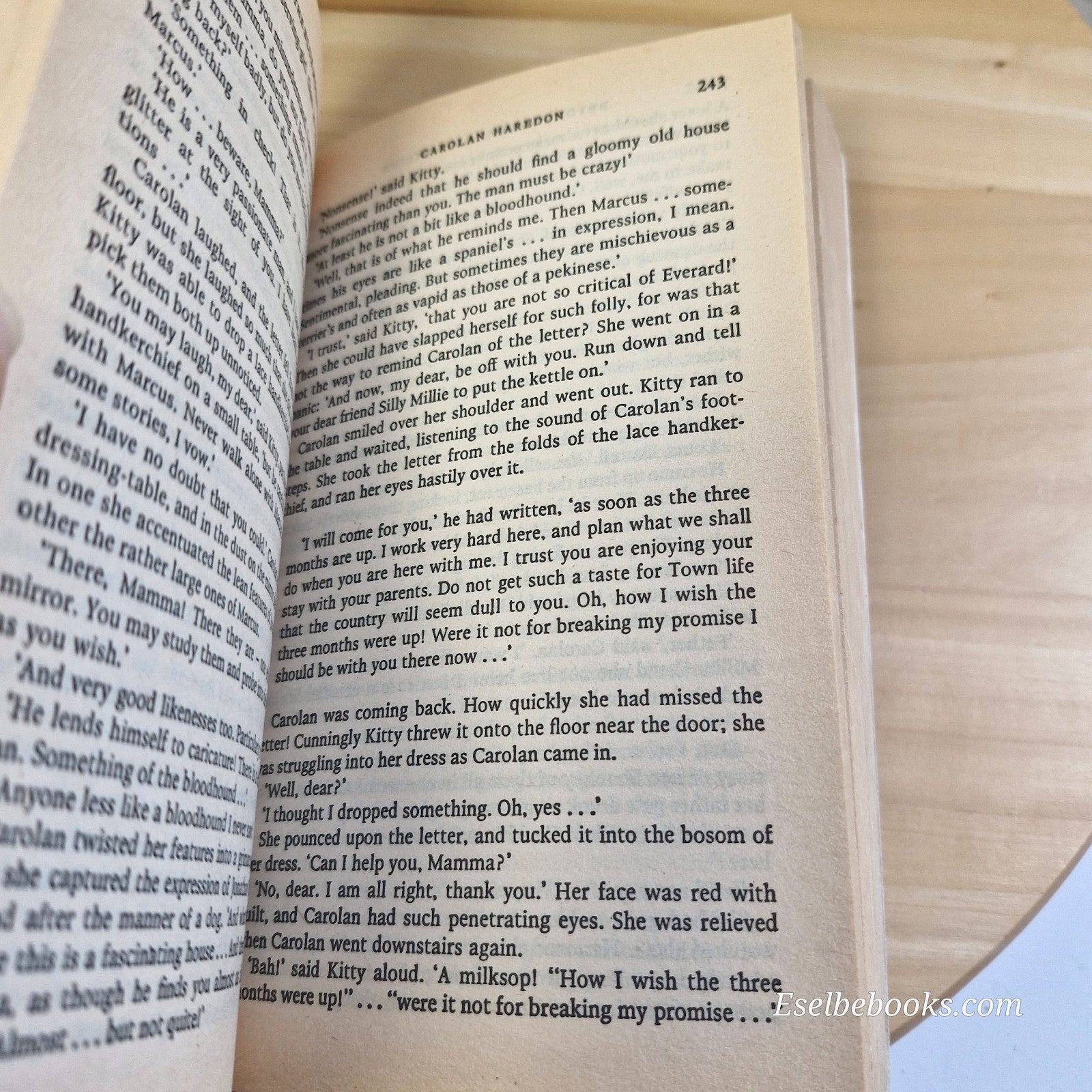 Beyond the Blue Mountains by Jean Plaidy - vintage paperback