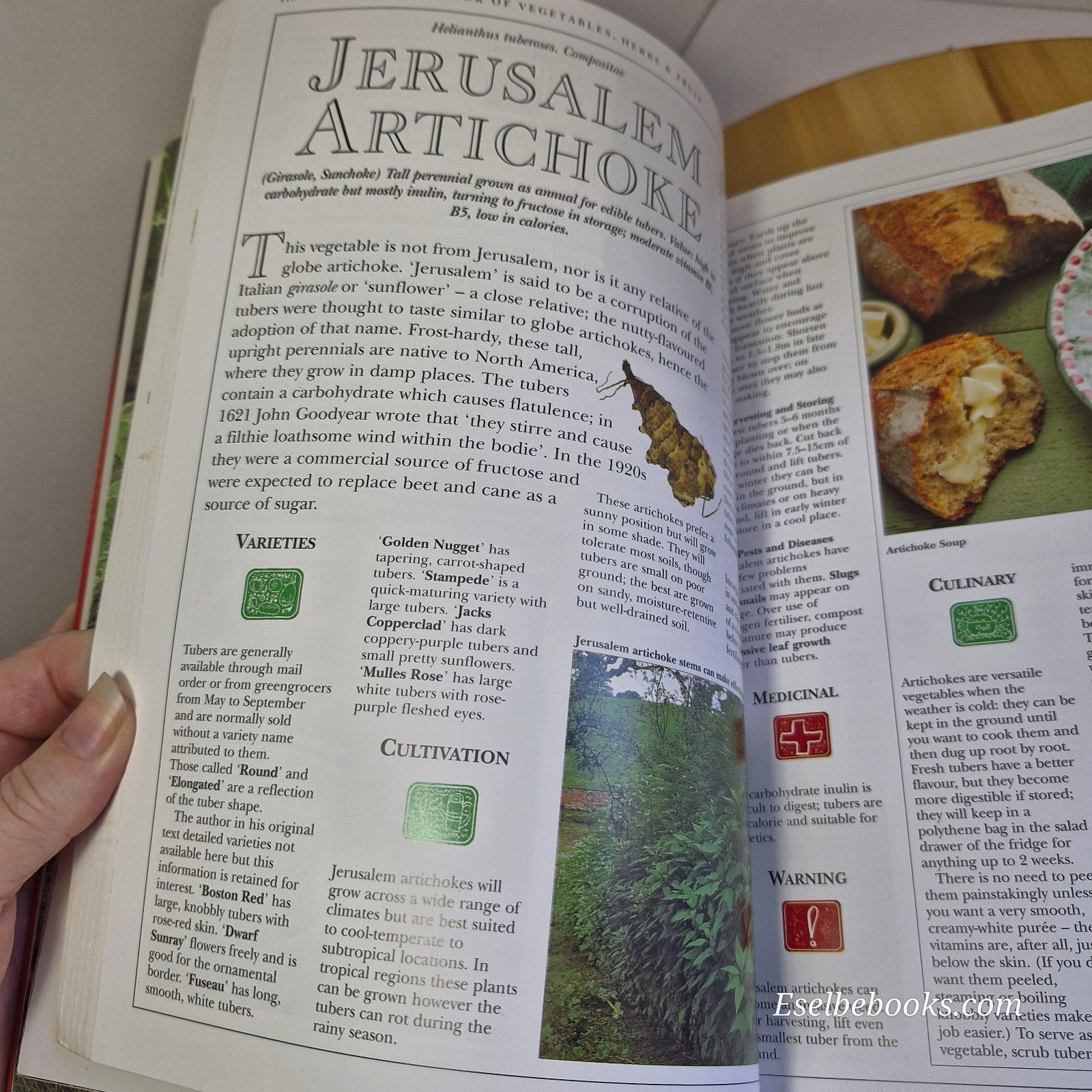 The Complete Book of Vegetables Herbs and Fruit by Bob Flowerdew Jekka - paperba