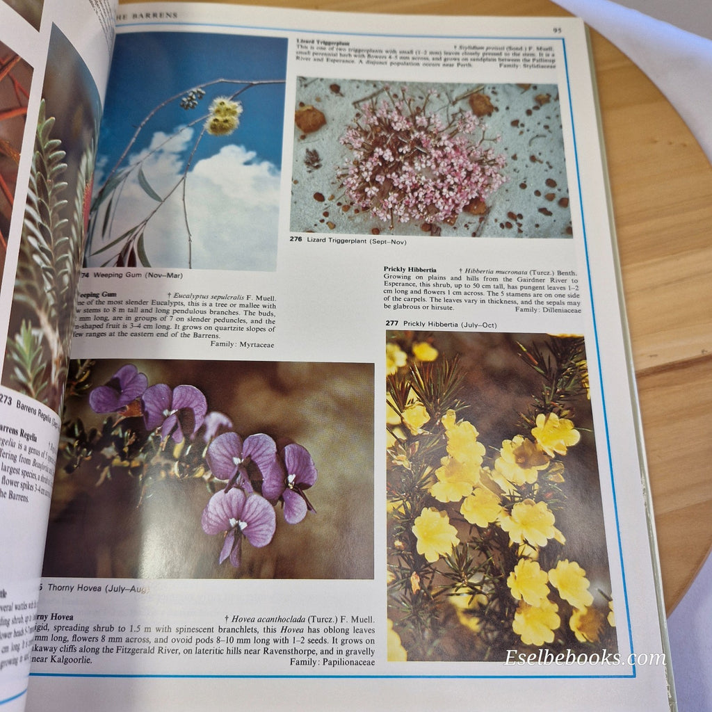 Flowers and Plants of Western Australia Rica Erickson A.S. George 1991 Hardcover