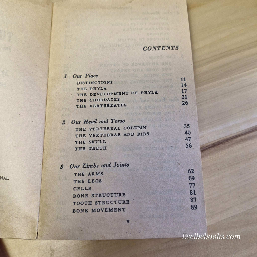 The Human Body Its Structure and Operations By Isaac Asimov, Anthony Ravielli...