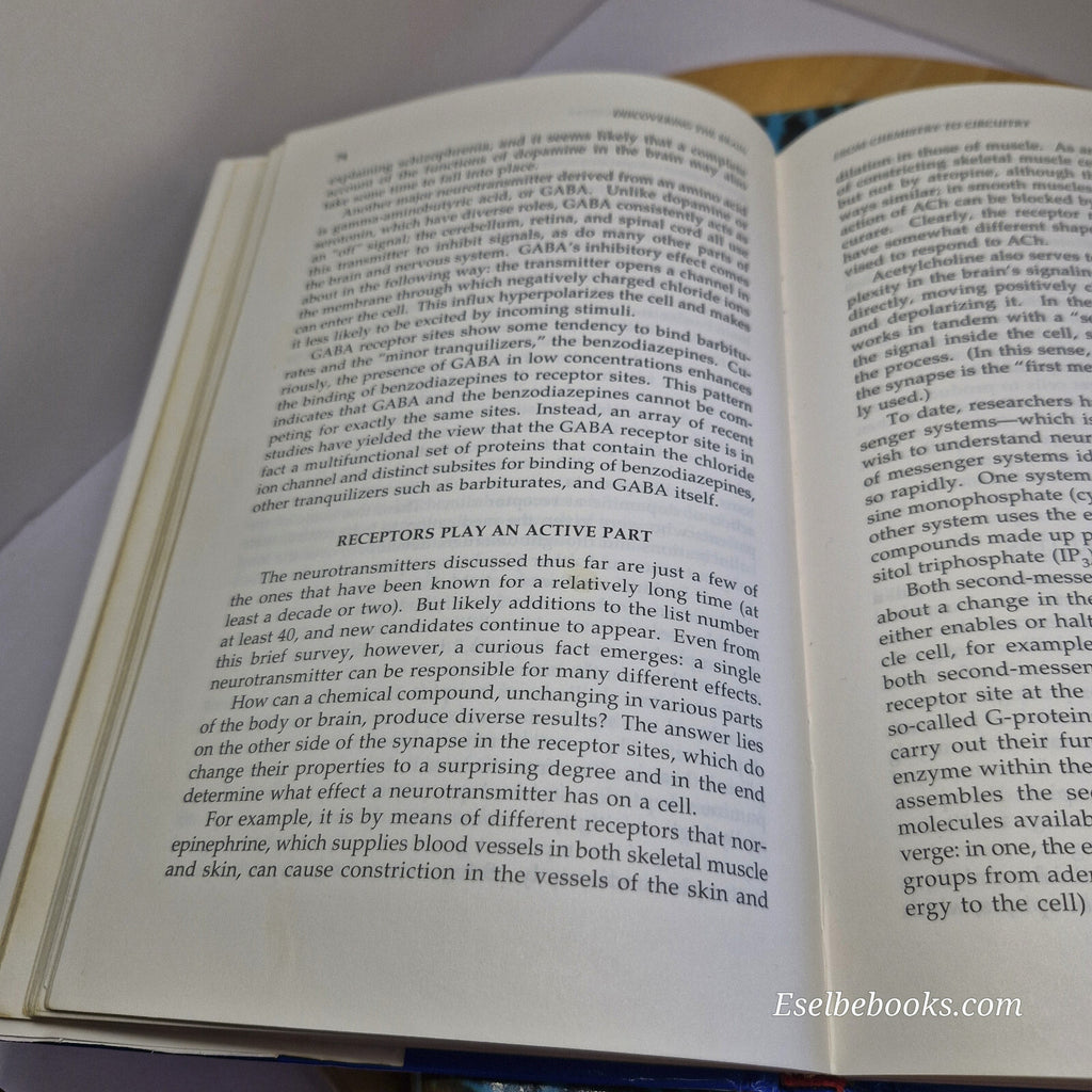 Science: 2 books about the brain - hardbacks