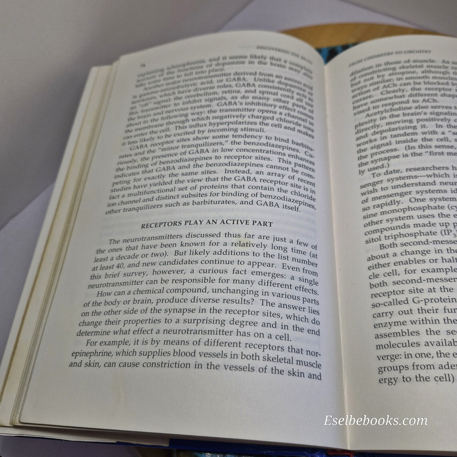 Science: 2 books about the brain - hardbacks