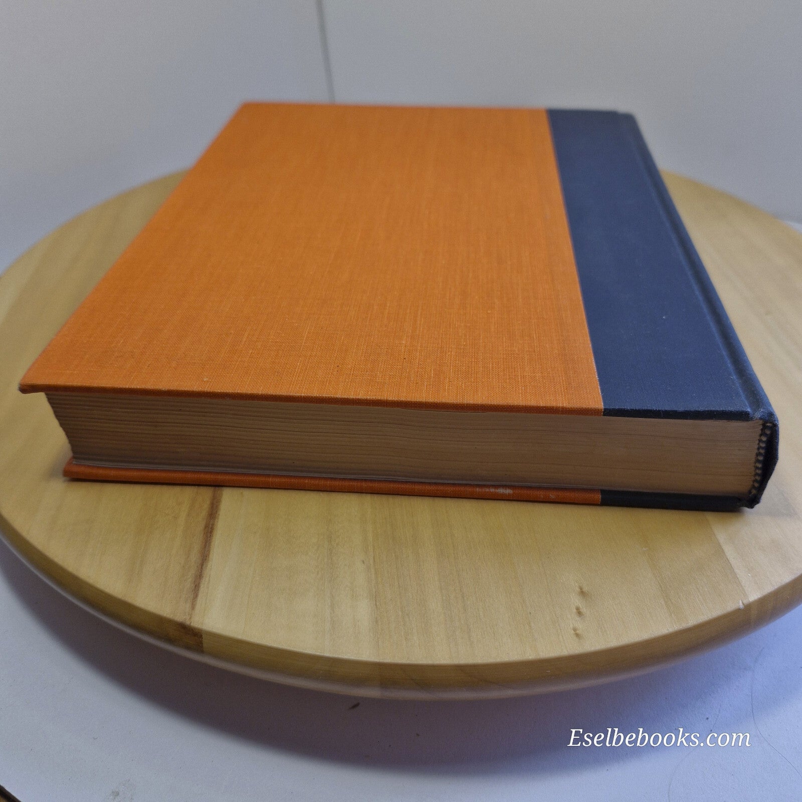 Musculoskeletal Disorders Regional Examination and Differential Diagnosis By ...